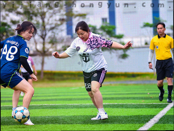入口模块与查询模块的线条化交互示意，两条路径在页面上方汇合后分别指向正式版与具体条目